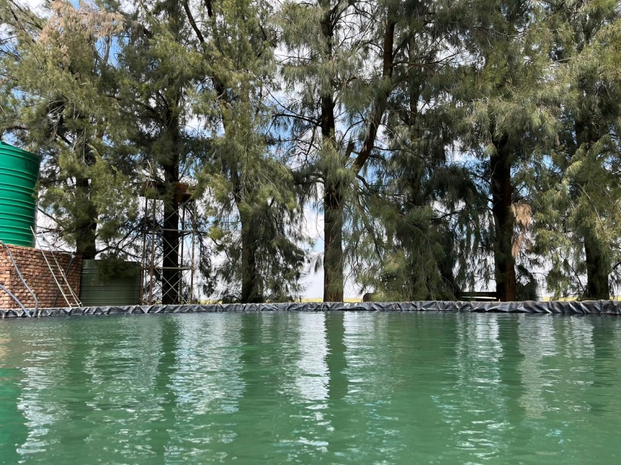 12 Bedroom Property for Sale in Bloemfontein Rural Free State